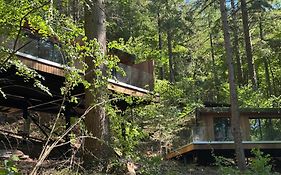 Forest Lodges